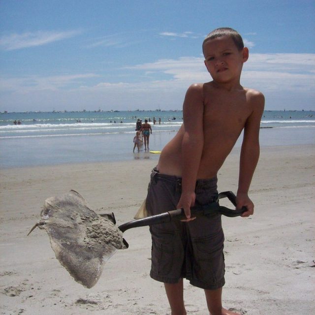 Beach Net Suprise