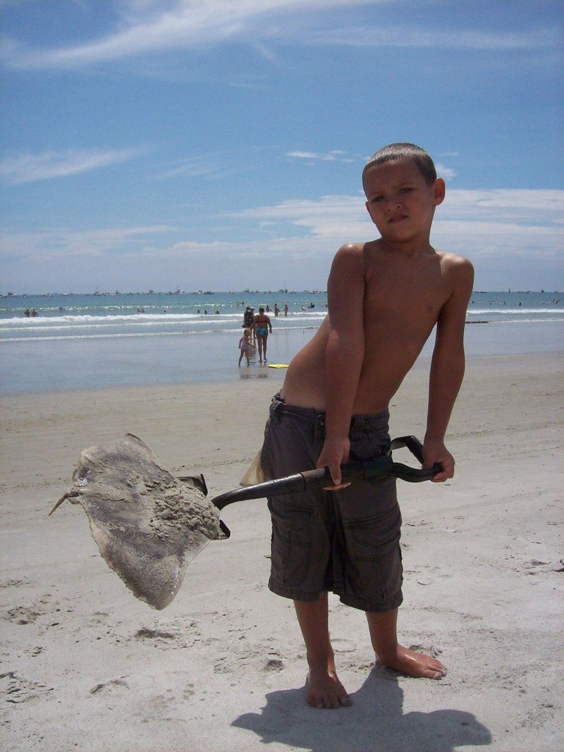 Beach Net Suprise
