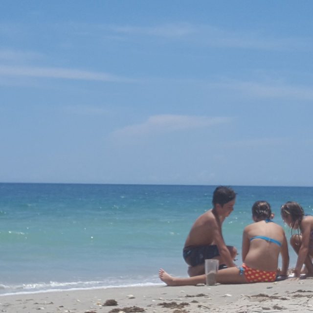 Summer Sun And Sand Crabs!