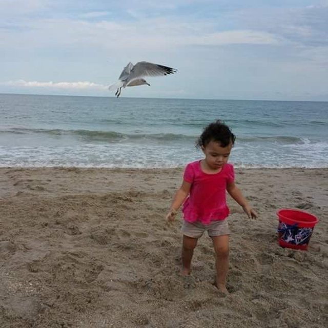 Follow Me Birdie!