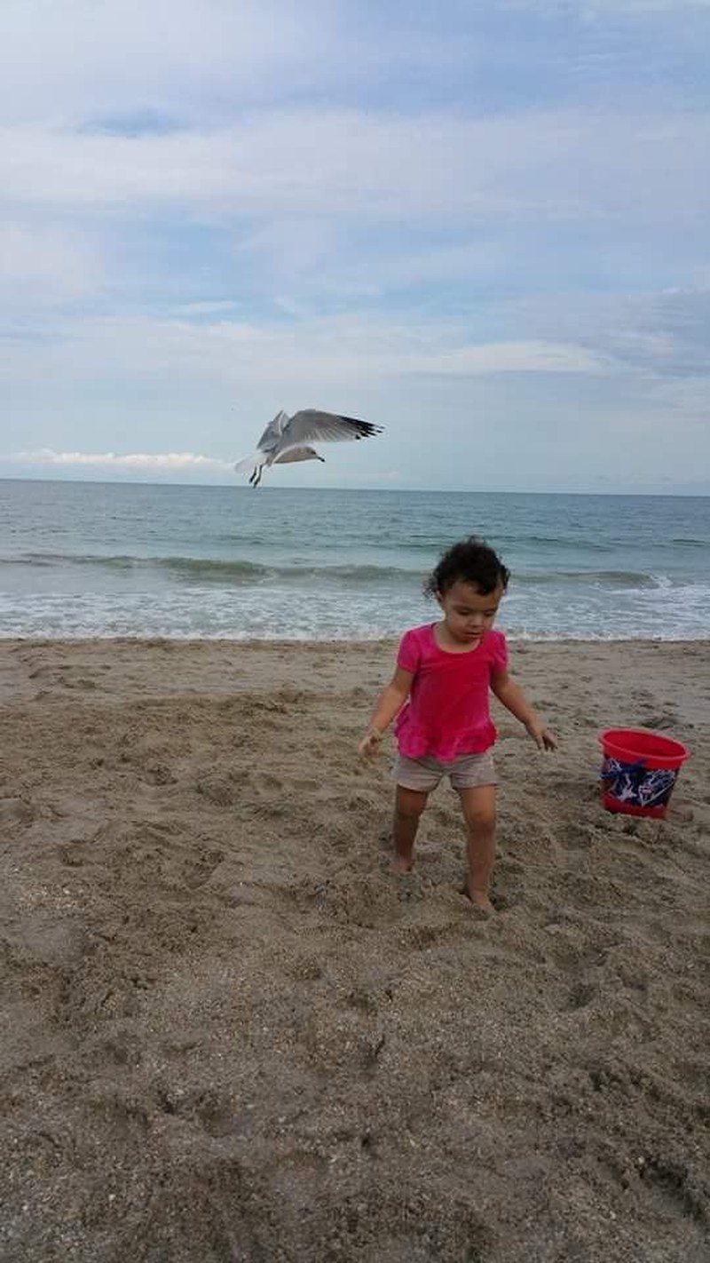 Follow Me Birdie!