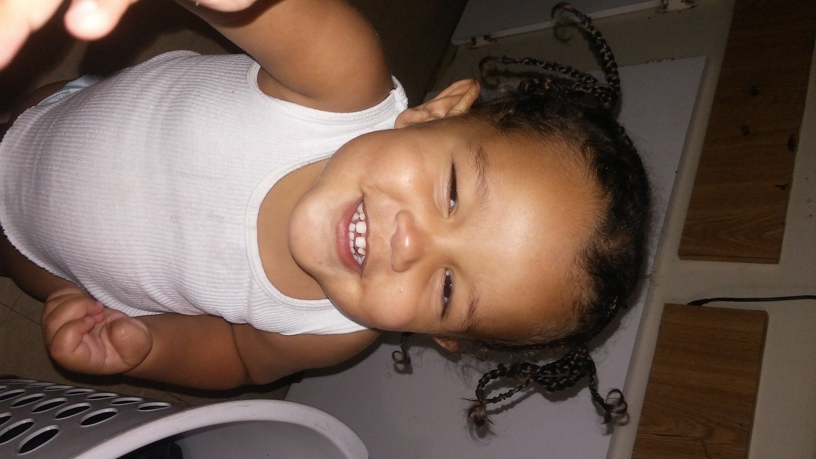 Cheese