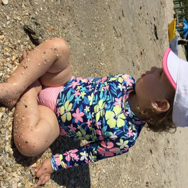 Looking For Shells!!
