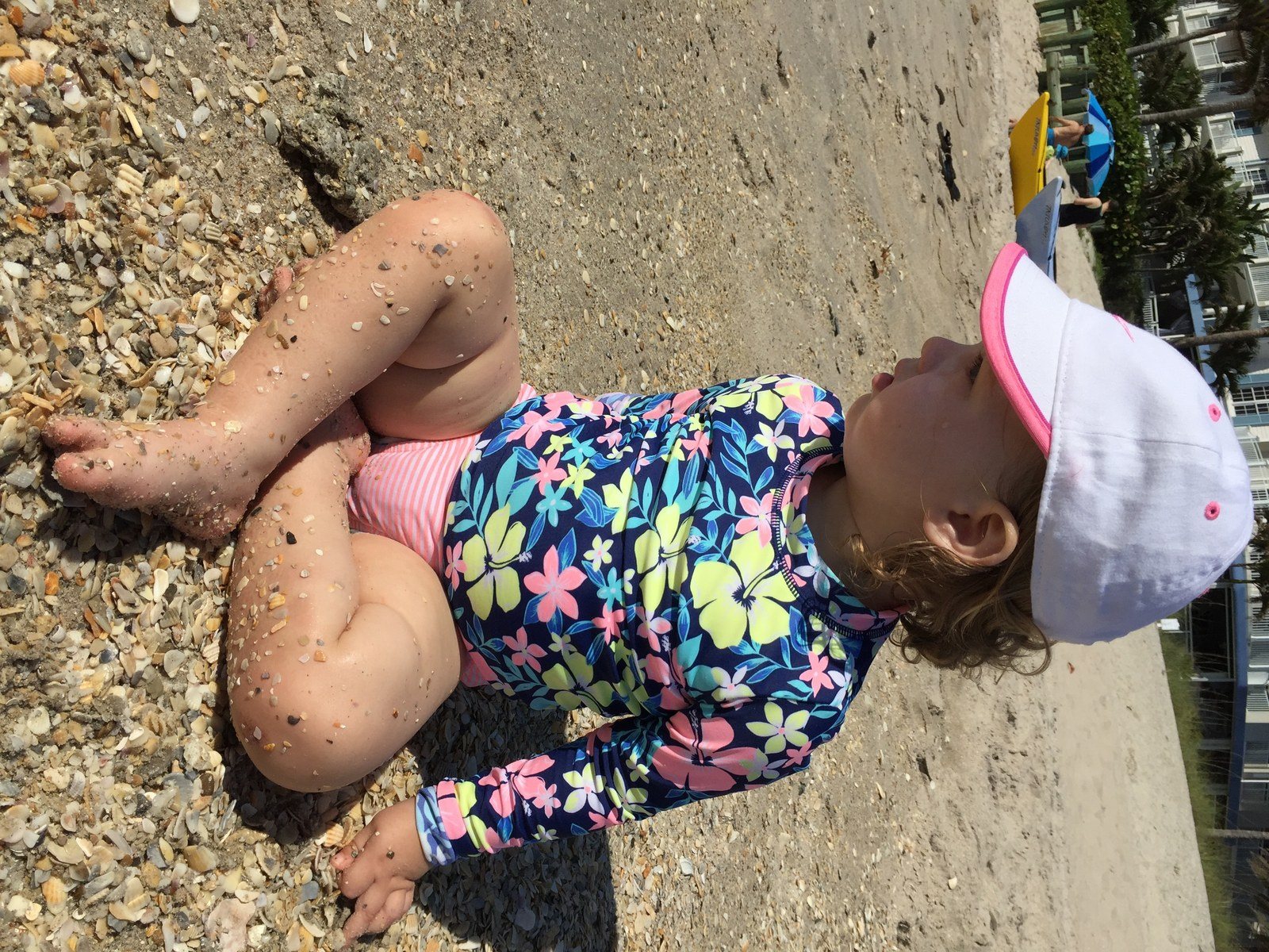 Looking For Shells!!