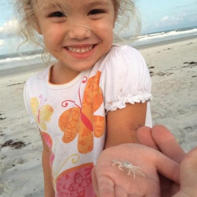 Ghost Crab Whisperer