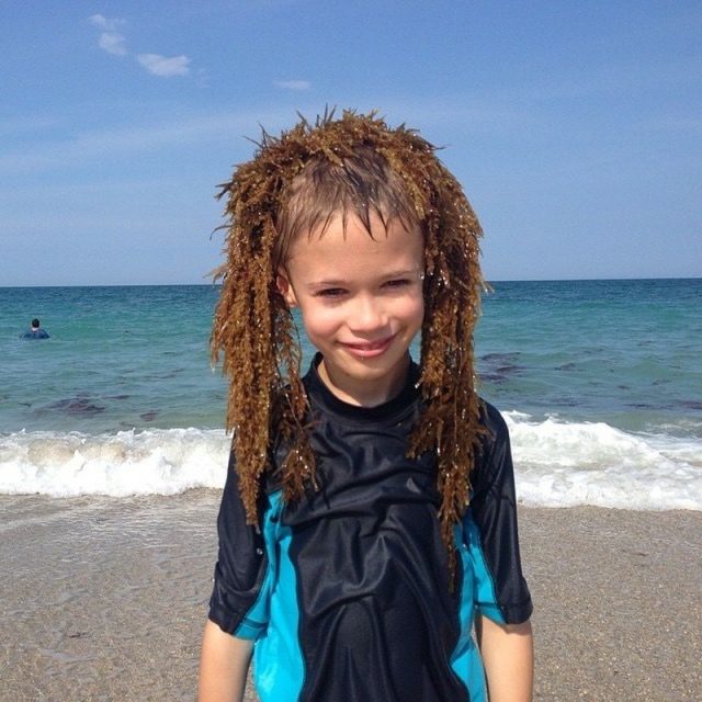 Seaweed Hair