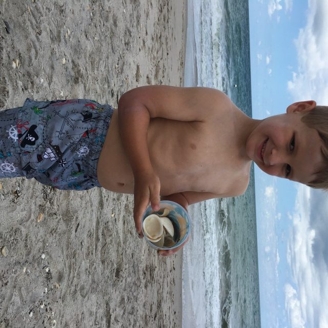 Seashells By The Vero Seashore