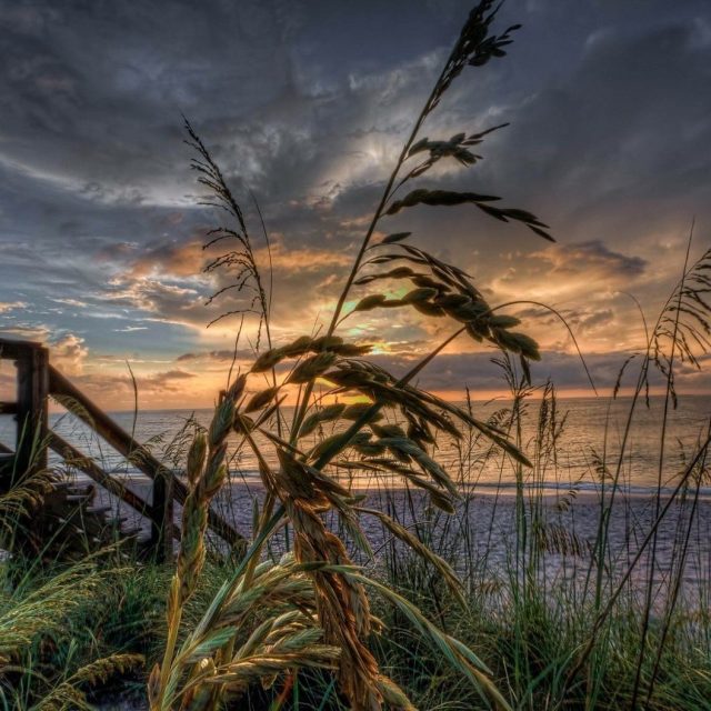 Sharing The Sunrise