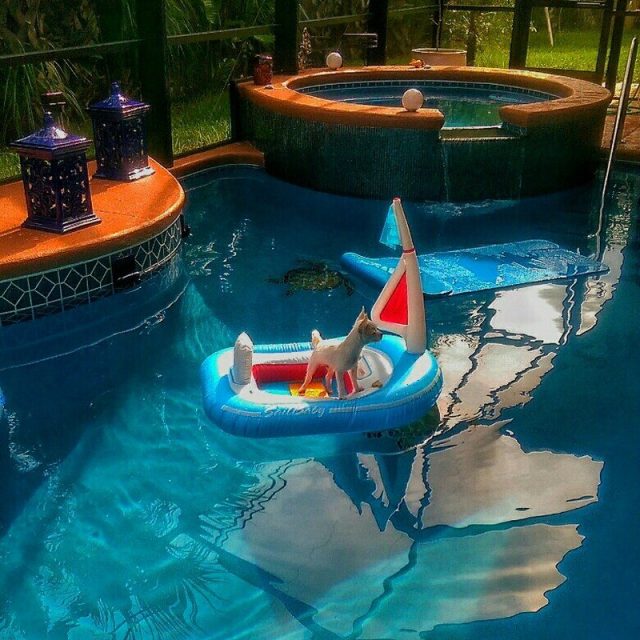 Sailing