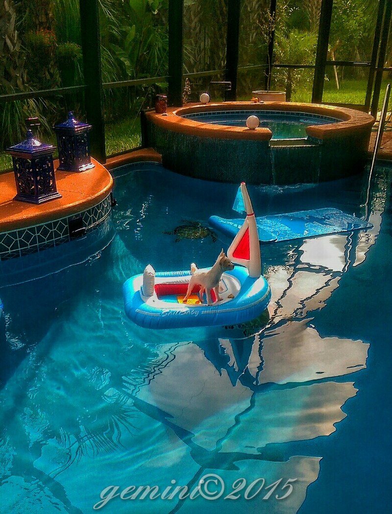 Sailing