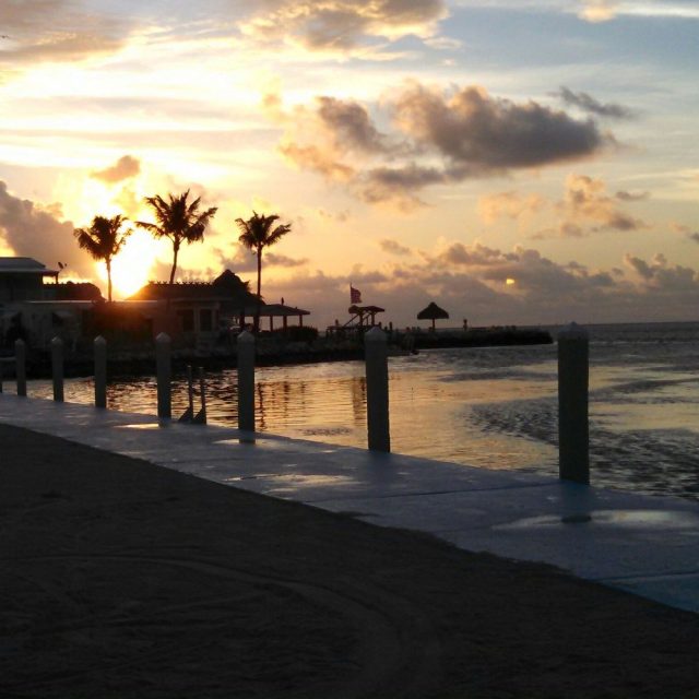 Awe, Good Morning World