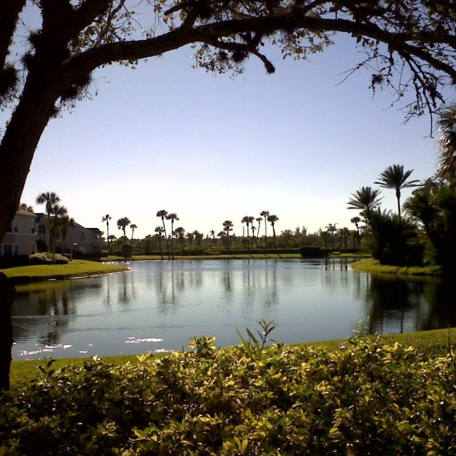 Afternoon Stroll At Sea Oaks