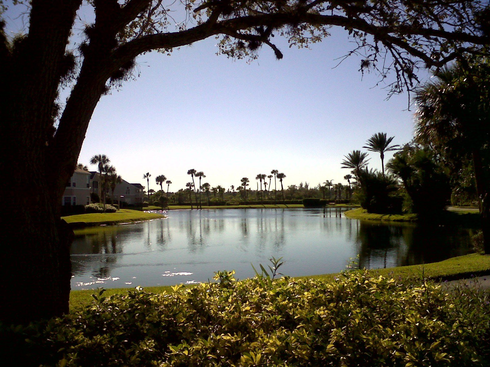 Afternoon Stroll At Sea Oaks