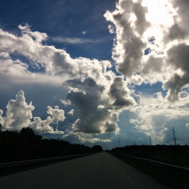 Florida Beauty