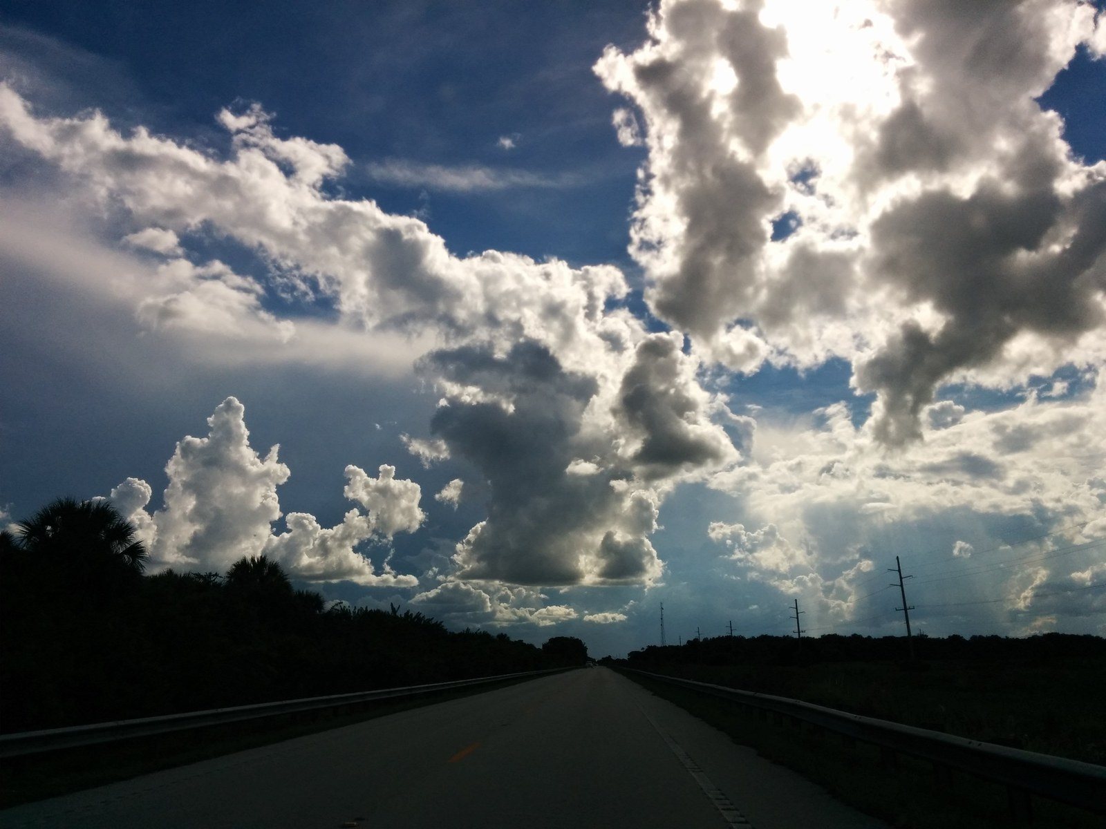 Florida Beauty