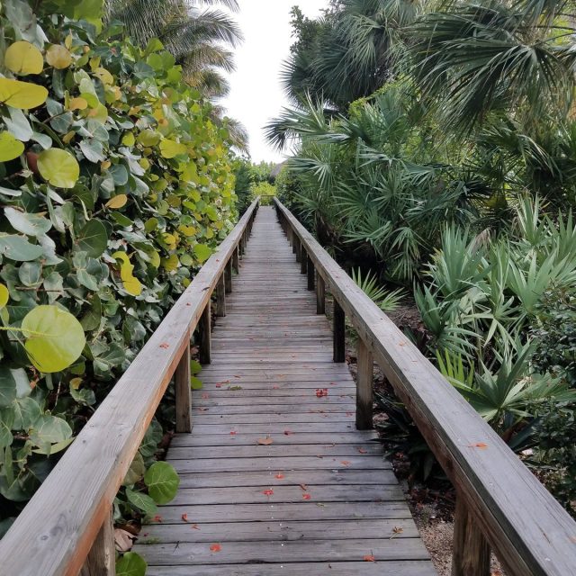 The Walk