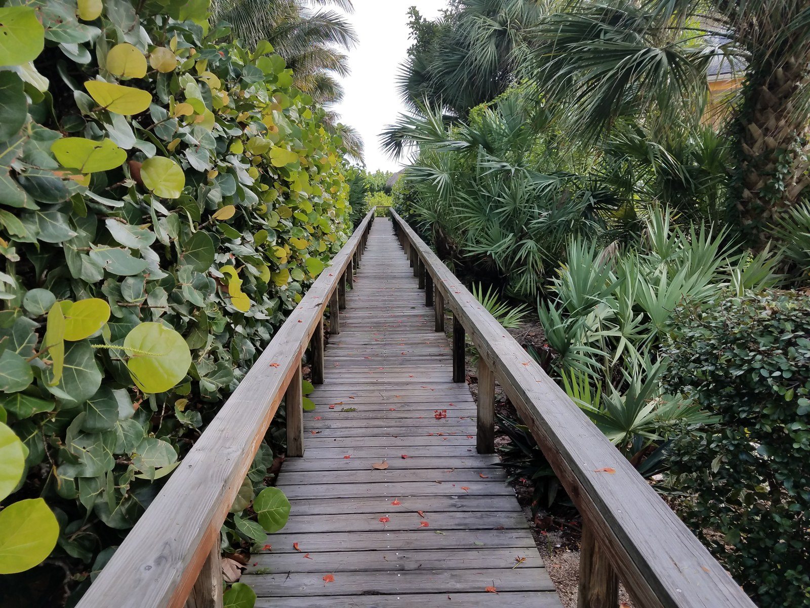 The Walk