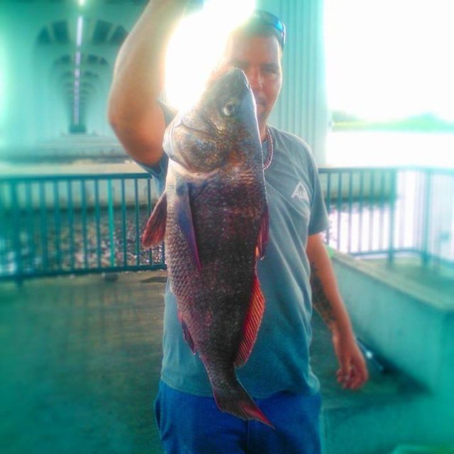 FISH LIFE
