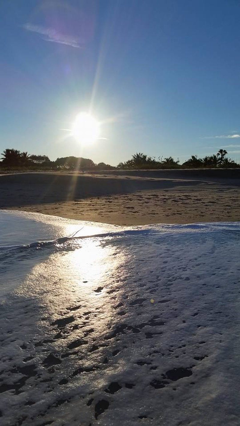 Sea Foam