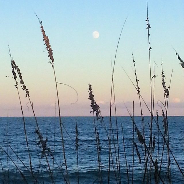 J C BEACH