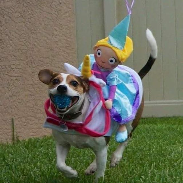 Mercedes The Unicorn Saving The Princess