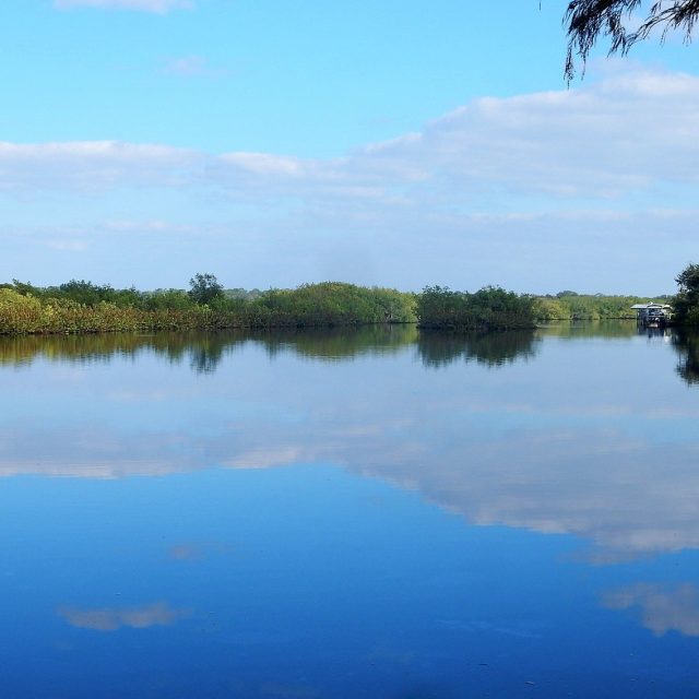 Reflections On The St. Sebastian River