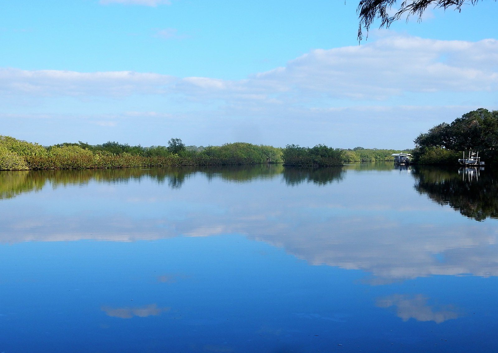 Reflections On The St. Sebastian River
