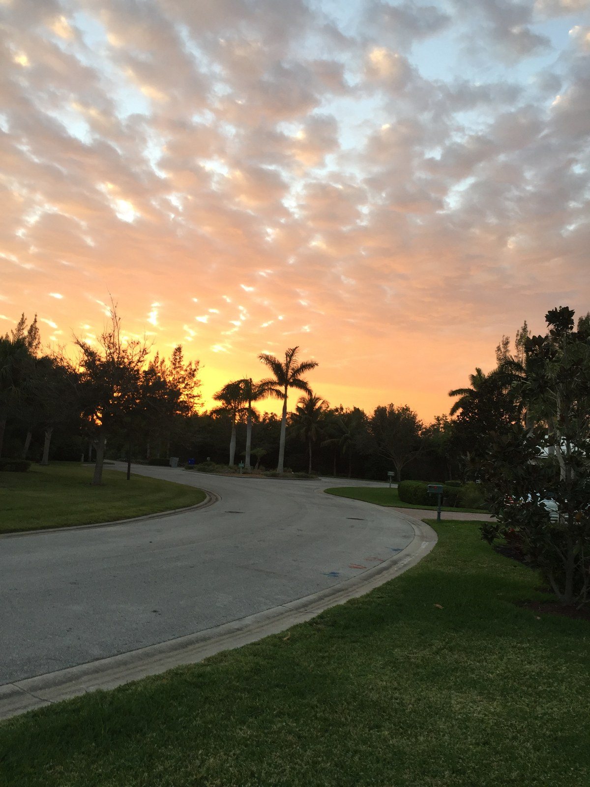 Sunset In Vero