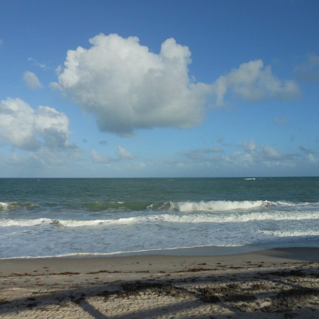 Vero Beach Ocean 2016