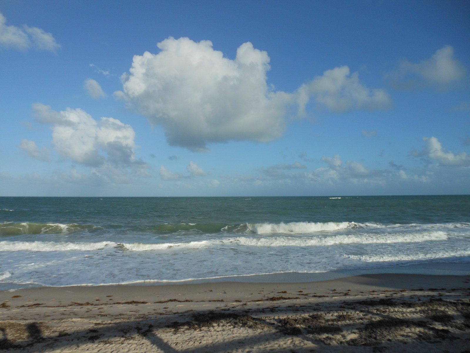 Vero Beach Ocean 2016