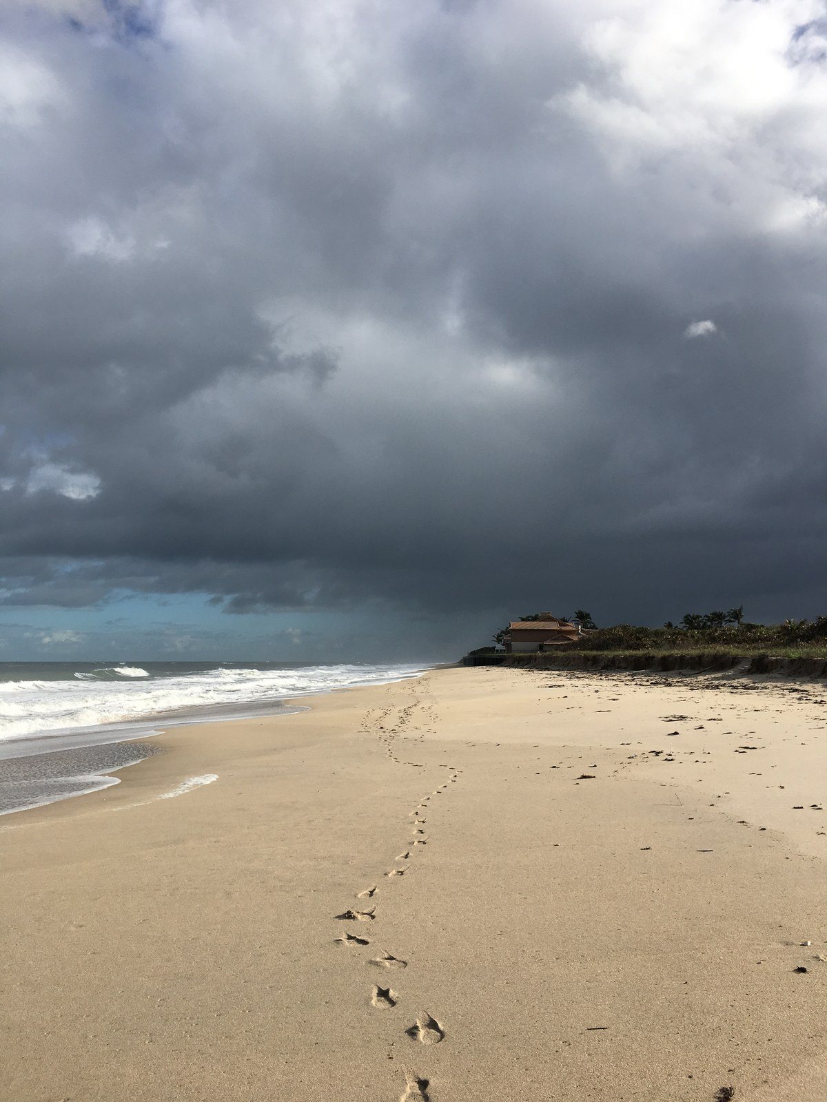 Stormy Beach