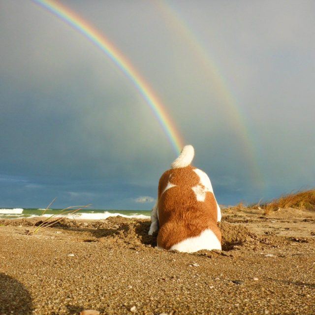 Taste The Rainbow