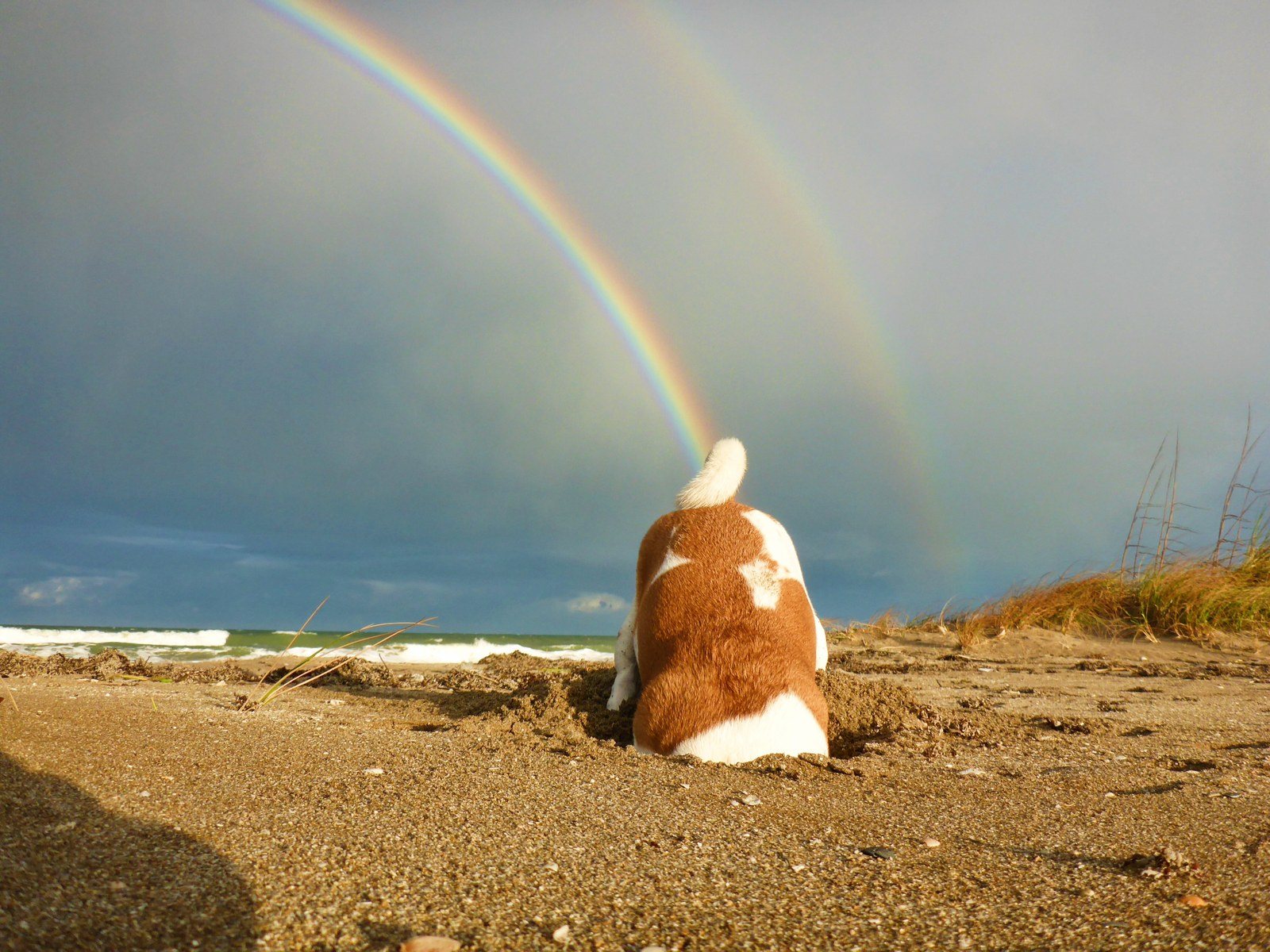 Taste The Rainbow