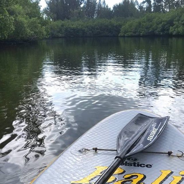 Paddling
