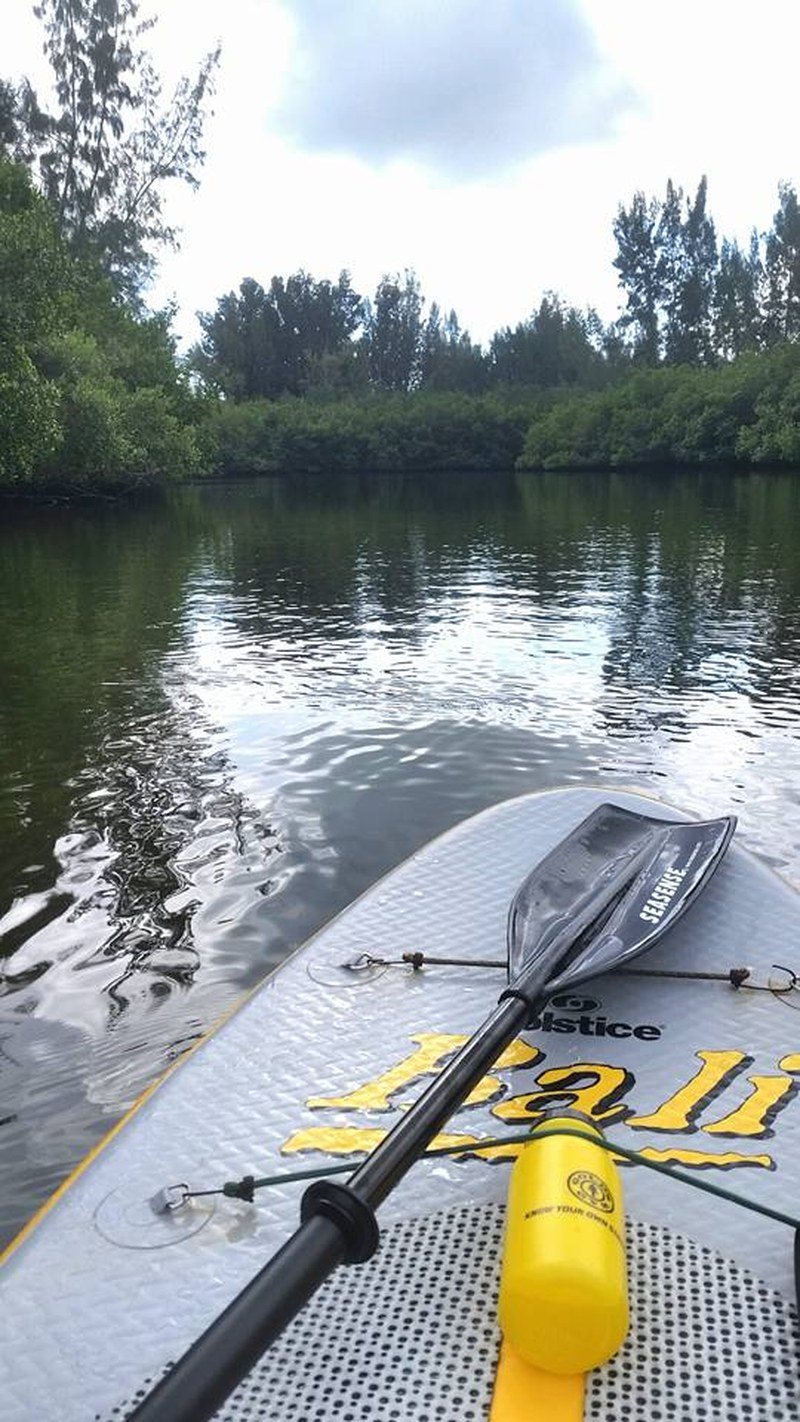 Paddling