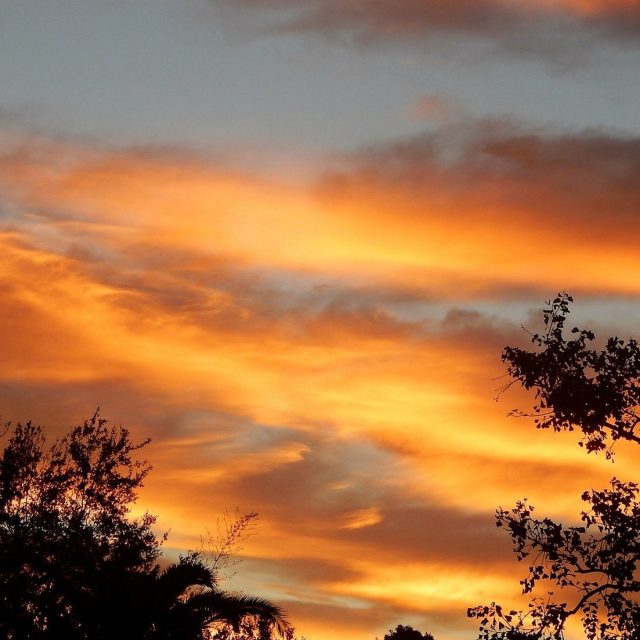Sebastian Sunrise