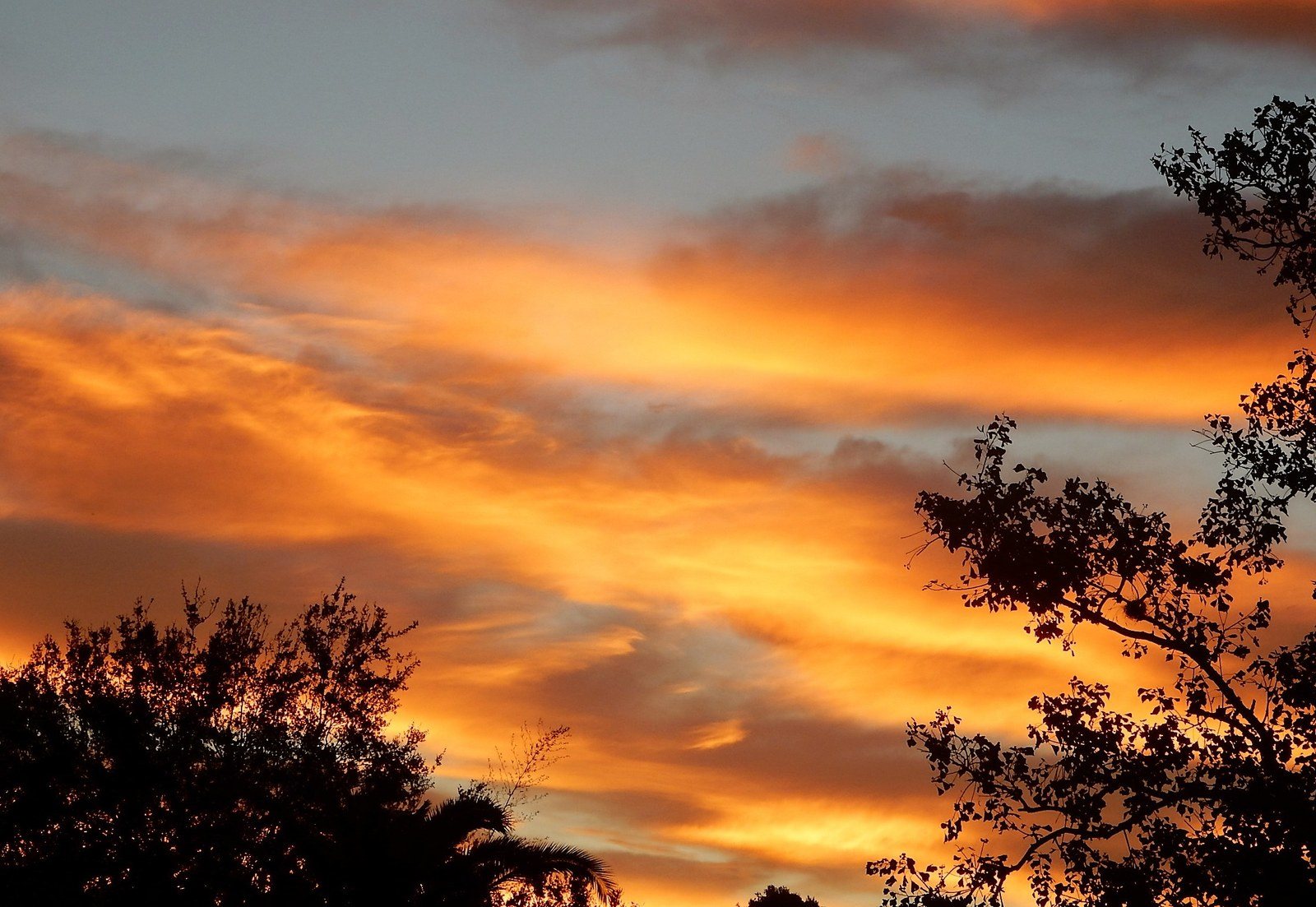 Sebastian Sunrise
