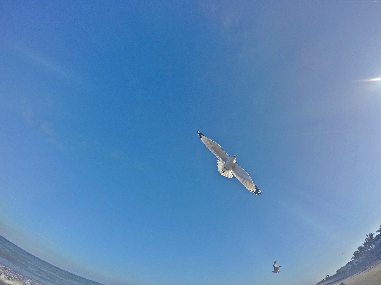 I Want To Fly