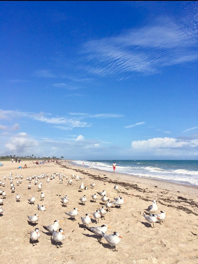 Sitting Pretty. Vero South Beach