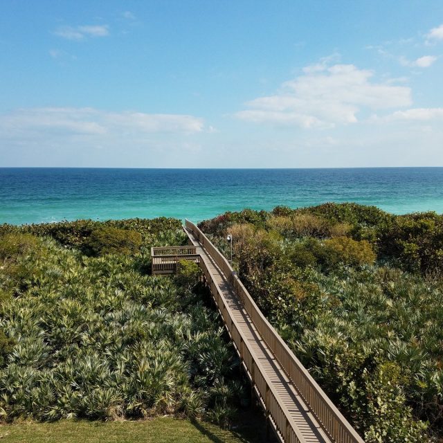 The View