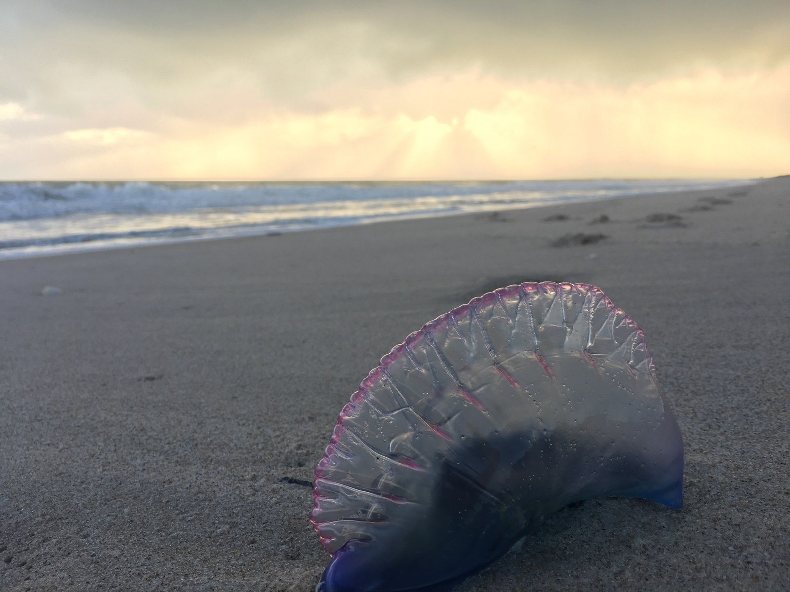 Vero Beach