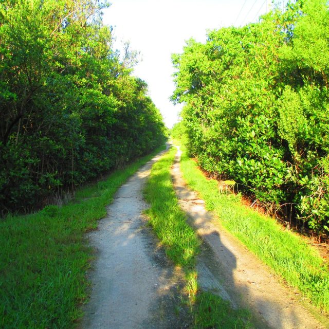 Lagoon Walk