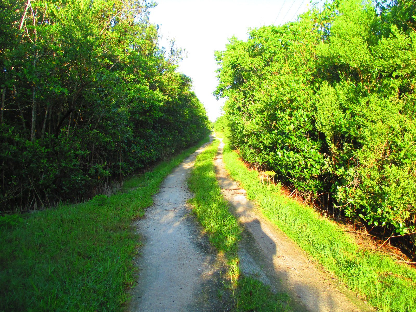 Lagoon Walk