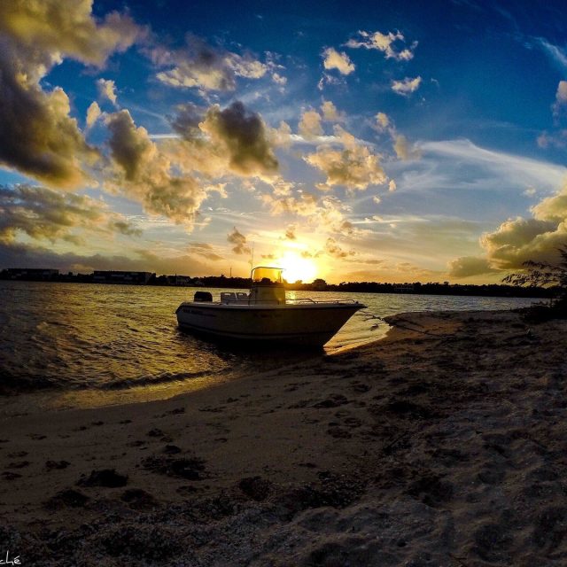 Island Life