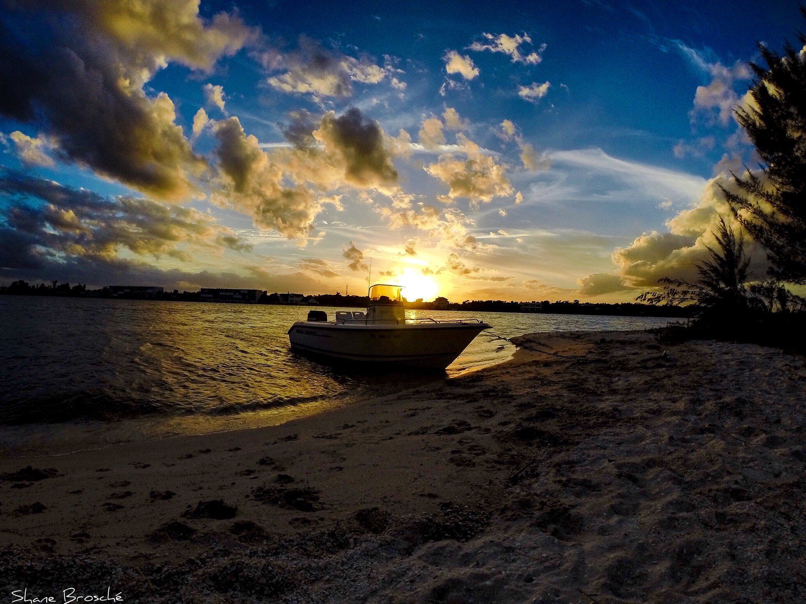 Island Life