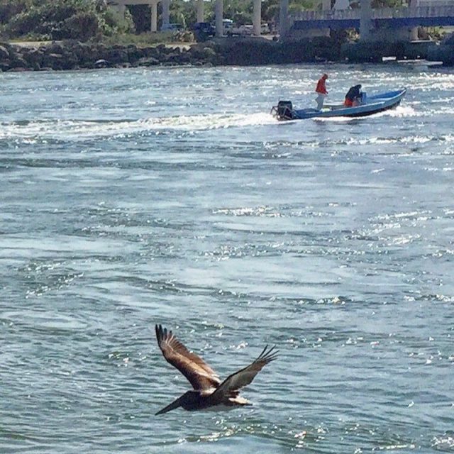 Sebastian Inlet