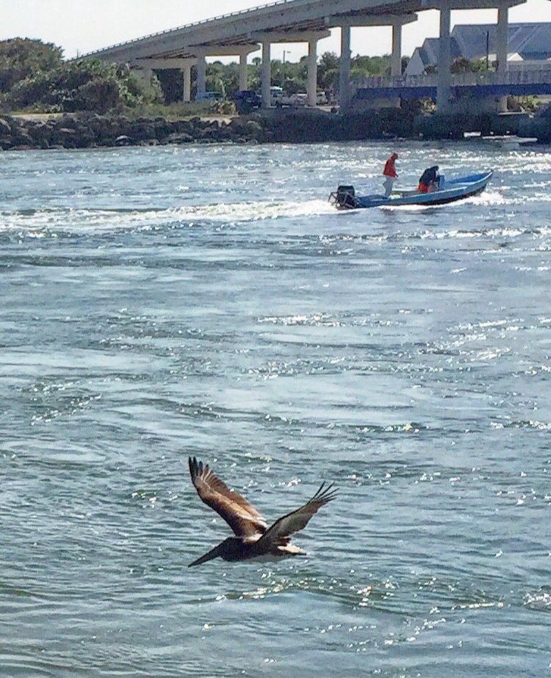 Sebastian Inlet