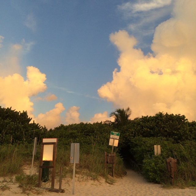 South Bech Pathway