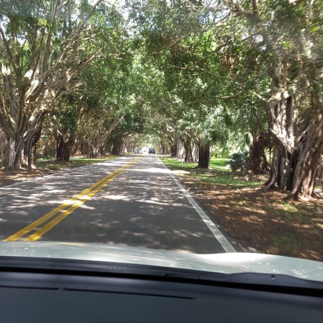Road Trip In Hobe Sound