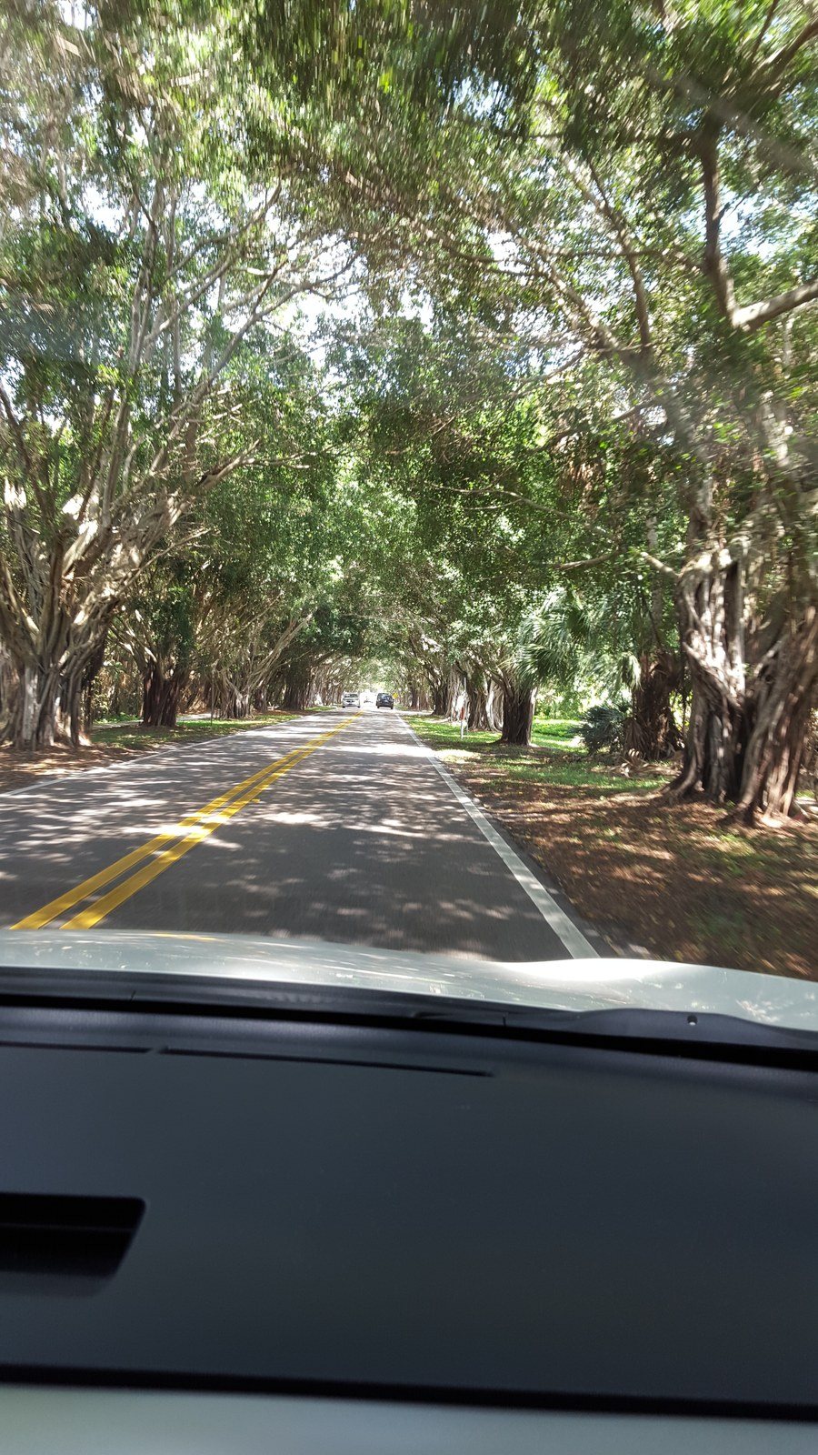 Road Trip In Hobe Sound